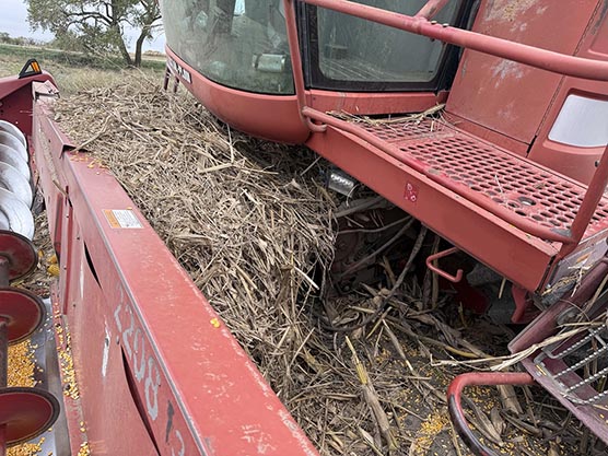 CASE IH 2208 Corn Header - Image 6