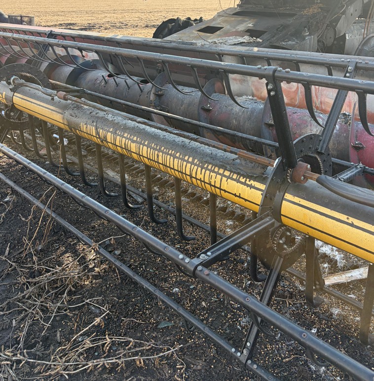 2011 CASE IH 3020 Flex Header - Image 2