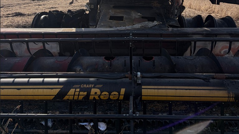 2011 CASE IH 3020 Flex Header - Image 4