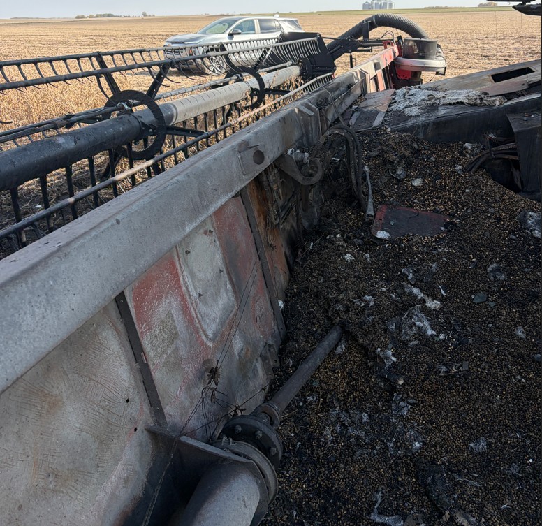 2011 CASE IH 3020 Flex Header - Image 5