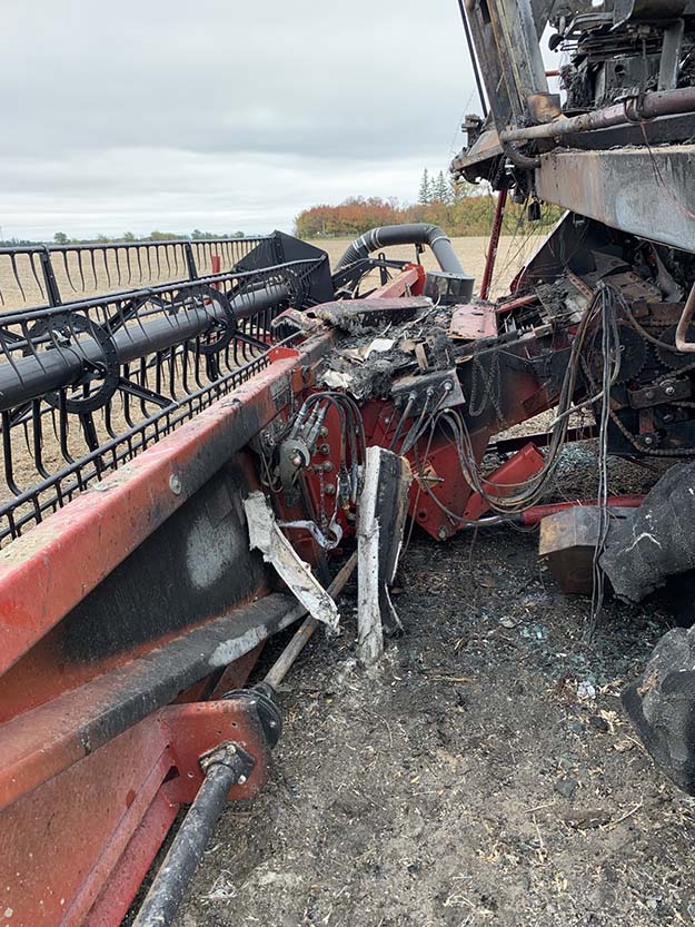 2010 CASE IH 2020 Header - Image 8