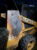 1990 Mustang 960 Skid Steer