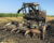 2005 CLAAS JAGUAR 850 Forage Harvester