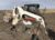 2007 Bobcat S250 Skid Steer