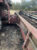 2007 CASE IH 1020 Header