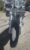 2017 Harley Davidson Sportster 1200C