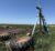 2019 Reinke 7 Tower Irrigation Pivot