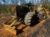 2019 Tigercat 620E Grapple Skidder