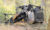 2024 Caterpillar 265 Skid Steer