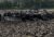 2016 CASE IH True Tandem 345 Disk