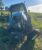 New Holland TL100 Tractor